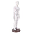 thumbnail image 1 of Acupuncture Model, 20.47in PVC Human Body Professional Acupuncture Doll High Definition Human Acupoint Model with Base for Chinese Me dicine Teaching, Acupuncture and Massage, 1 of 7