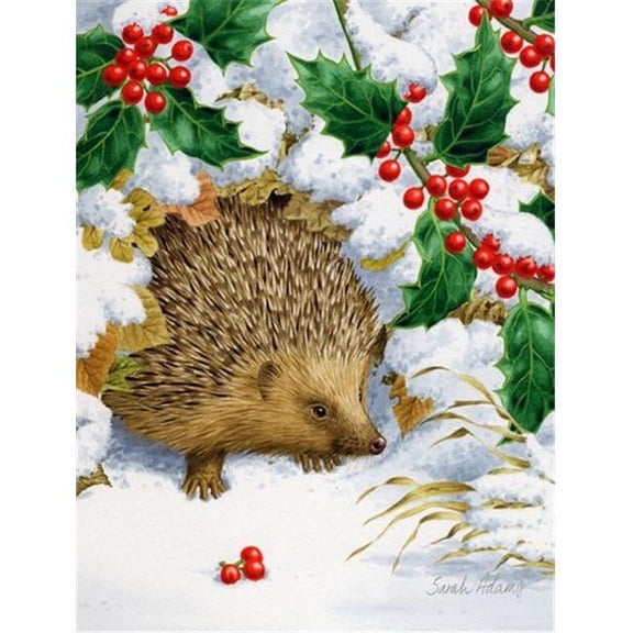 Hedgehog And Holly Flag Canvas House Size