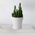 thumbnail image 1 of Maceta de macetas de maceta, decoración de mesa, olla de guardería con agujeros de drenaje para plantas manualidades de boda a favor de, 1 of 8