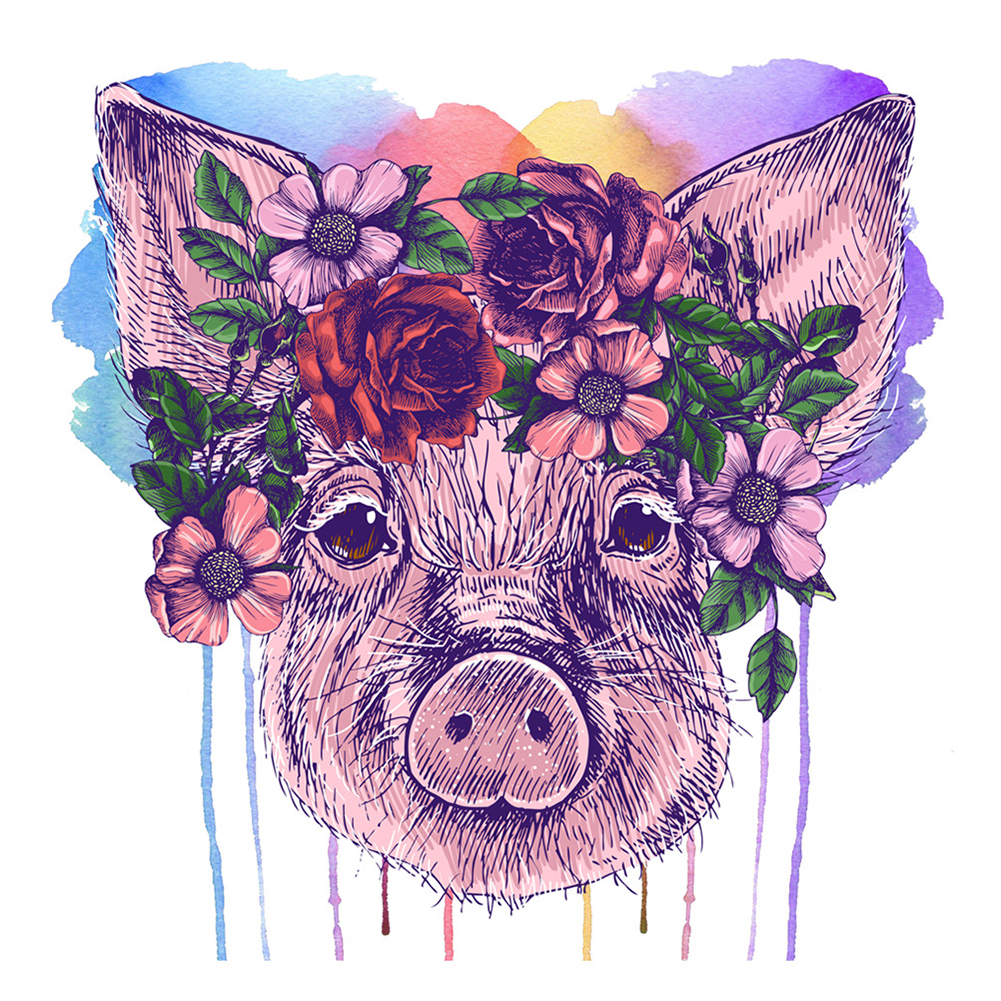 Full Drill 5D DIY Diamond Painting Rhinestone Flower Pig Gifts Kits Art Decor Full Drill 5D DIY Diamond Painting Rhinestone Flower Pig Gifts Kits Art Decor