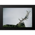 thumbnail image 2 of Beata, Angyalosi 14x11 Black Modern Framed Museum Art Print Titled - Antler Double-Exposed, 2 of 5