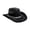 Black, variant on 1. Glitter Powder Western Hat Unisex Sparkling Top Hat Wide Brim for Music Festival Parties Costume Accessories Headwear