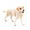 color-6B-home Fournitures, variante sur KTTECTOA Jouets Figurines Décoration Maison Préscolaire Éducatif Arcti Animaux d'Hiver Cadeau Liquidation Jeux de Voyage Canada Days Jouets pour Enfants Jouets pour Enfants