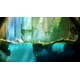 thumbnail image 4 of Ori and the Blind Forest - Nintendo Switch Nintendo Switch Juego, 4 of 5