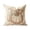 Brown, variant on Btomtd Pumpkin Throw Pillow Cover 18 x 18 Inch, Fall Thanksgiving Couch Pillow Cases, Decorative Cushion Cover for Sofa Porch, Blue