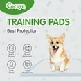 thumbnail image 3 of COCOYO  Dog Training Pads Giant Size  XXXL Size (30" x 45", 30 Count) Super Absorbent Puppy Pads, 3 of 7
