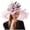 Pink, variant on Tea Party Hats Easter Women Fascinator Hat Floral Tea Party Wedding Hat