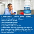 thumbnail image 2 of Healthy Kidney Kidney Shield: Kidney Detox Supplement plus Vitamins, Supports Kidney Health, 120 ct. (3 pack), 2 of 9
