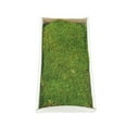 thumbnail image 1 of Vickerman H1MTR150 Plateau en Mousse Verte 8 oz, 1 of 1
