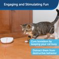 thumbnail image 5 of PetSafe Laser Tail Cat Toy – Fun and Safe Laser Light Game for Cats – Hands Free Play, 5 of 6