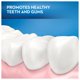 thumbnail image 4 of Cepillo de dientes Oral-B Essential Clean Suave, paquete de 2, 4 of 5