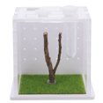 thumbnail image 4 of TABLZONE Terrario Transparente Para Saltarinas Acrílico Con Ventilación Para Observación Clara, 4 of 4