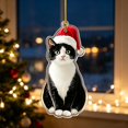 thumbnail image 4 of Dalxymotic Christmas Pet Acrylic Pendant, Christmas Acrylic Hanging Ornaments, Flat Printed Pet Pendant, Cute Ornament, Christmas Tree Decoration for Home, Mantel, Bookshelf, Desk, 4 of 8