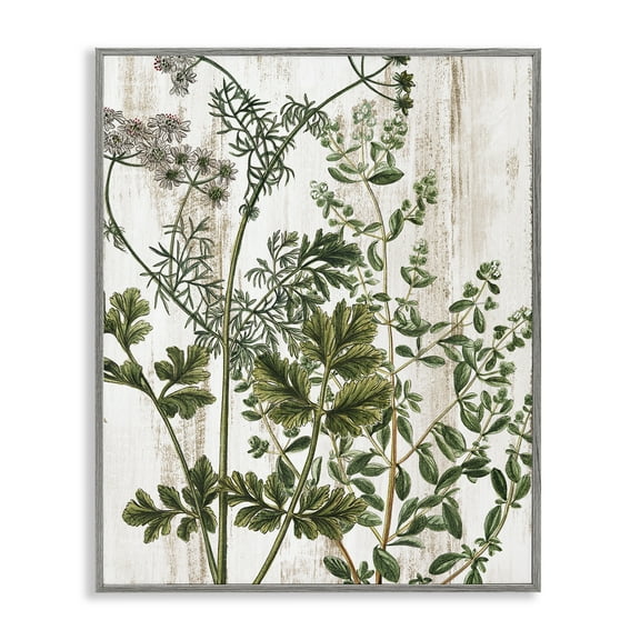 Stupell Industries Botanical Greenery Pattern Botanical & Floral Painting Gray Framed Art Print Wall Art, 24 x 30