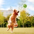 thumbnail image 4 of Pelotas Grandes de Goma LISAPRO Verde y Amarillo Resistentes a Mordeduras para Mascotas, 4 of 8