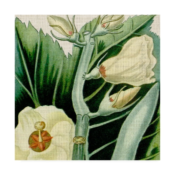 Trademark Fine Art 'Cropped Turpin Tropicals III' Canvas Art by Vision Studio