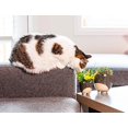 thumbnail image 4 of Abbott Collection AB-27-CRITTER-829-LG 5 in. Cat on Legs Planter, Grey - Large, 4 of 5
