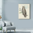 thumbnail image 3 of Trademark Fine Art 'UA CH Meyer Scops-Eared Owl' Canvas Art by H. L. Meyer, 3 of 4