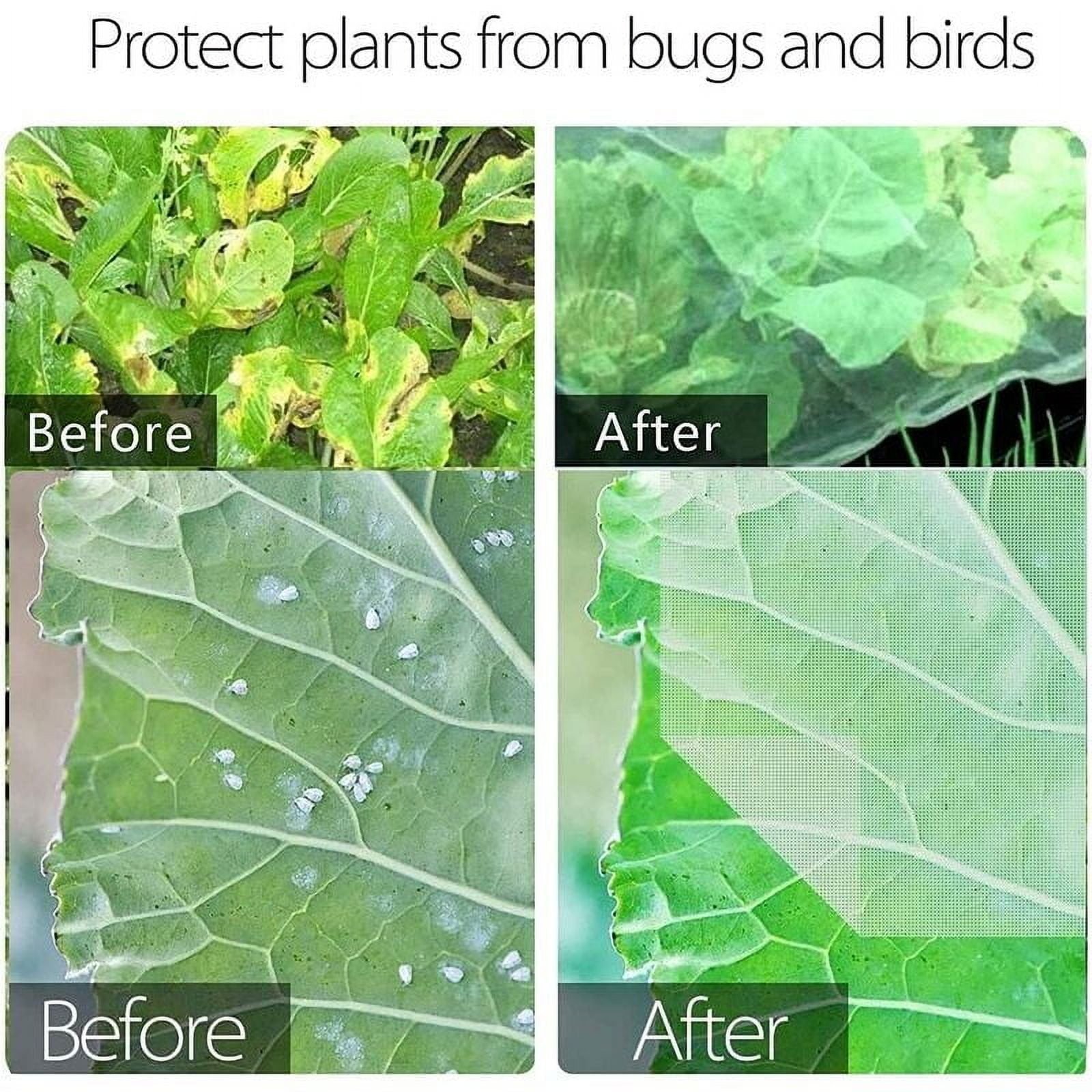 Insect net, plant insect net, flower protection net, vegetable protection net, garden vegetable net, bird protection net, flight protection net, garden net (31)