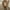 Bronze, variant on JIANJIA Womens Coats and Jackets Solid Color Casual Plus Size Plush Pockets Buttons Cardigan autumn winter outerwear Sportwear