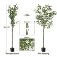 thumbnail image 6 of Indoor Faux Artificial Eucalyptus Tree, 6ft, 6 of 8