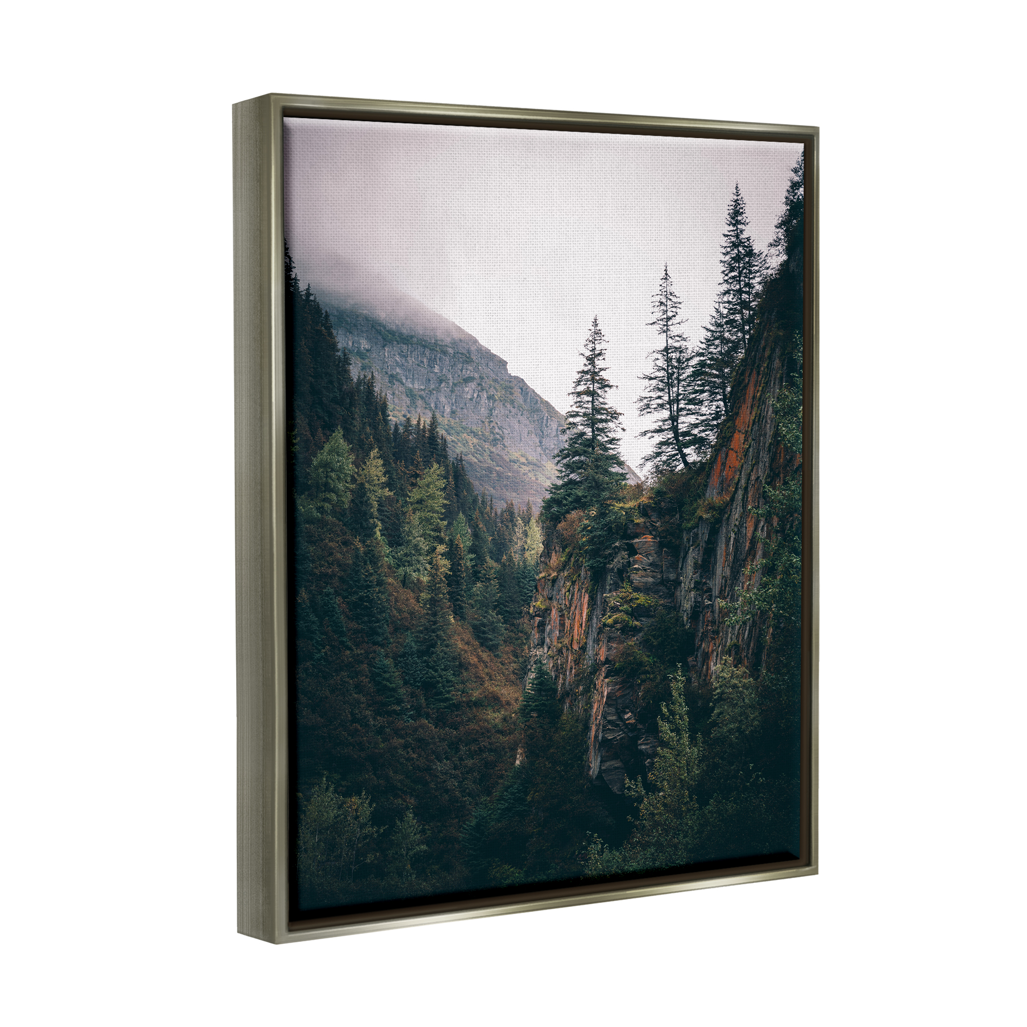 Stupell Industries Rustic Mountain Landscape Landscape Photography Gray Floater Framed Canvas Art Print Wall Art, 17 x 21
