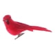 thumbnail image 2 of Pájaro Artificial Plumas de espuma artificial loros artesanía imitación pájaro jardín decoración (rojo) Ndcxsfigh Libre de BPA, 2 of 5