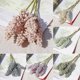 thumbnail image 1 of Material de ramo de decoración de plantas de flores artificiales de lavanda, 1 of 2