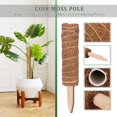 thumbnail image 5 of Plant Climbing Vine Coconut Totem Pole Palm Stick For Plant Support Extension,Climbing Indoor Plants,Creepers, 5 of 13