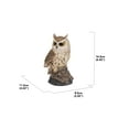 thumbnail image 5 of MOTION ACTIVATED SINGING LONG EARED OWLET STANDING ON STUMP, 5 of 5