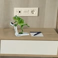 thumbnail image 4 of Bonita estatua de rana, de animales, escultura de jardín de escritorio, hogar, dormitorio, sala de , micro paisaje, decoración, ornamento Corriendo Macarena Figuras de rana, 4 of 8