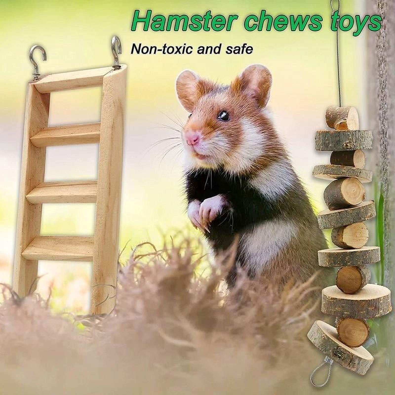 ODOMY 10 Pcs/set Hamster Toy Set Wooden Dumbbells Teeth Care Molar Toy Natural Wooden Exercise Bell Roller Toy