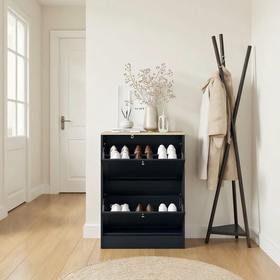 Resenkos Modern Slim Shoe Storage Cabinet - 2 Flip Drawers, Adjustable Shelves (Holds 12 Pairs), Black