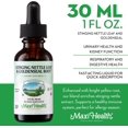 thumbnail image 3 of Maxi Health Stinging Nettle & Goldenseal – Herbal Supplement with Organic Ingredients – Immune & Urinary Tract Support – 1 fl oz Liquid, 3 of 8