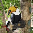thumbnail image 5 of Estatua de pájaro de jardín, estatua de pájaro tucán de resina, escultura de pie de animal realista, adornos de árbol para patio al aire libre, patio, césped, decoración del hogar, 5 of 5