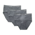 thumbnail image 2 of Stanfield's Men's 3 Pack Premium Cotton Regular Rise Briefs Underwear, 2 of 8