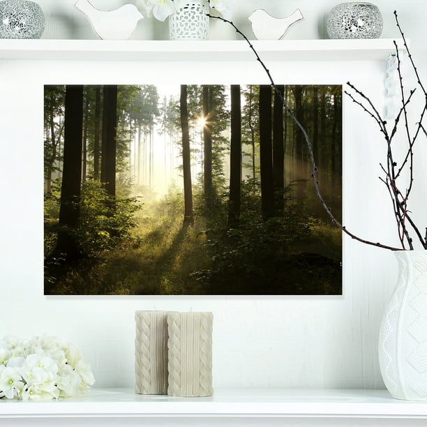 Tôt le Matin Soleil dans la Forêt Brumeuse - Photographie de Paysage Impression sur Toile