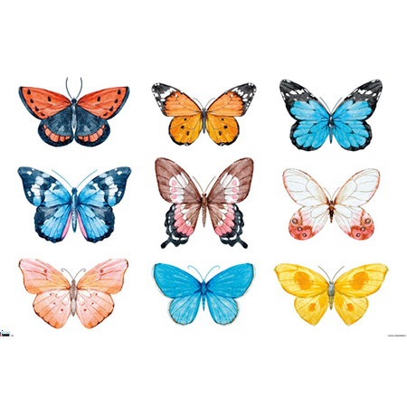 Watercolor Butterflies