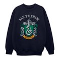 thumbnail image 1 of Harry Potter Boys Slytherin Crest Sweatshirt, 1 of 6