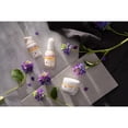 thumbnail image 4 of Suero Intenso Reafirmante Burt's Bees Renewal Intensive Firming Serum 29.5 ml, 4 of 11