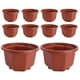 thumbnail image 1 of 10 piezas Flor Potas, 1 of 5