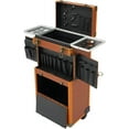 thumbnail image 3 of Rolling Lockable Makeup Train Case with 4 Wheels, Professional Hairdressing Trolley Organizer for Beauty Salons, 3 of 15
