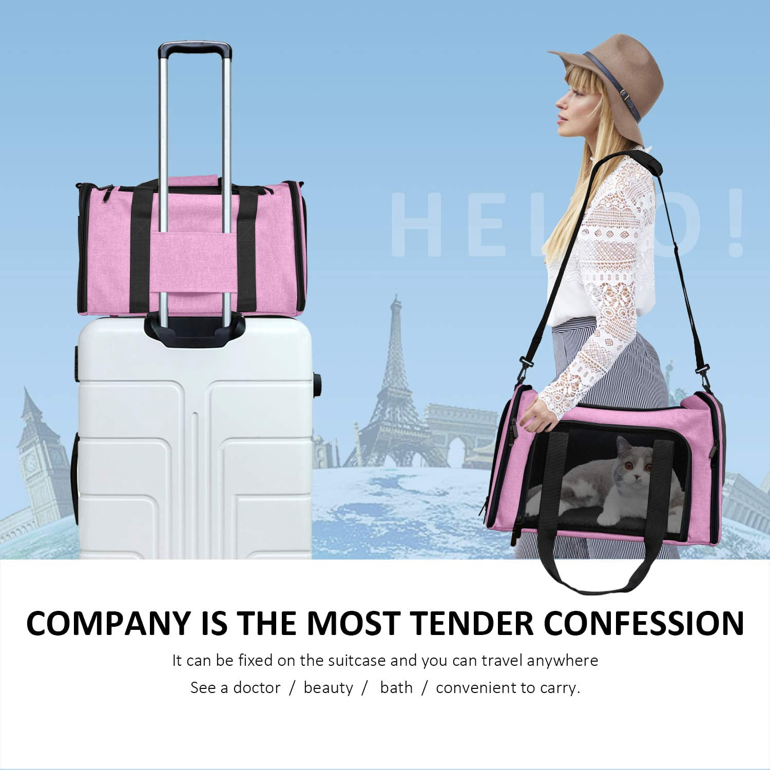 Cat, Dog Carrier for Small Medium Cats Puppies up to 15 Lbs, TSA Airline Approved Carrier Soft Sided, Collapsible Travel Puppy Carrier - Grey