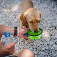 thumbnail image 6 of 4Pcs Silicone Collapsible Dog Bowls BPA Free Travel Dog Bowl Foldable Cat Dog Food Water Bowl, 6 of 6