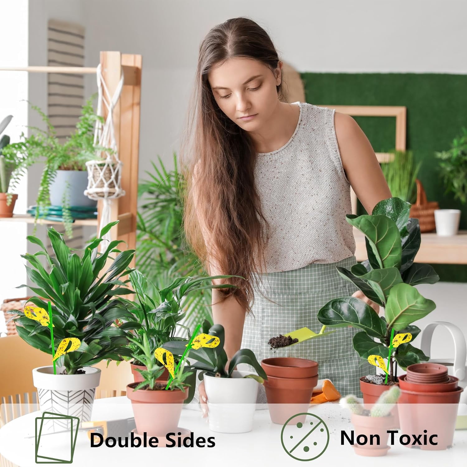 60PCS Yellow Sticky Traps for Plant Gnats Fungus Gnat House Indoor Fruit Fly Indoor/Outdoor Catcher Whiteflies Mosquitoes Thrips Aphids... Stake Holders Included Dual-Sided