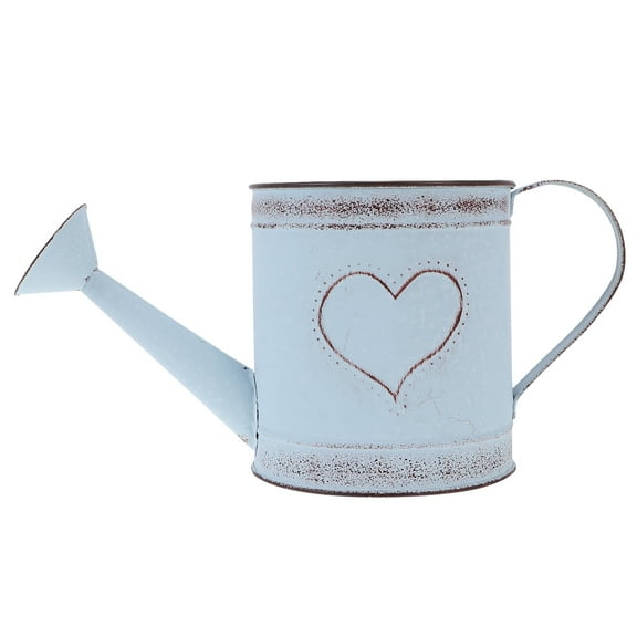 Antique Iron Kettle Flower Pot Vase Vintage Garden Watering Can Home Decor Watering Pot Model for Gardening