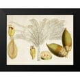 thumbnail image 2 of Curtis 18x15 Black Modern Framed Museum Art Print Titled - Tropical Foliage and Fruit VIII, 2 of 5