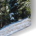 thumbnail image 3 of Epic Art 'Christmas In the Rockies - Rocky Mountain National Park' by Darren White, Acrylic Glass Wall Art, 16"x12", 3 of 8