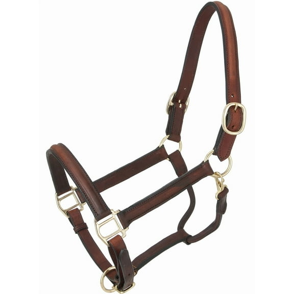 Royal King Raised Leather Halter, Full, Havana (Brown)