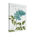 thumbnail image 2 of Trademark Fine Art 'Fleuriste Paris V' Canvas Art by Wild Apple Portfolio, 2 of 3